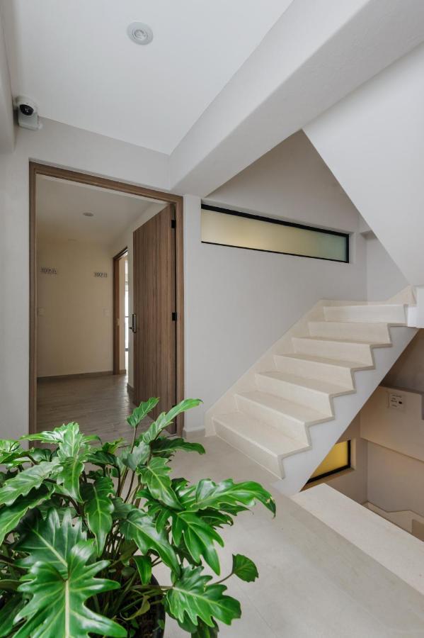 مدينة مكسيكو Choapan 28 - Lux Apartments In Condesa المظهر الخارجي الصورة